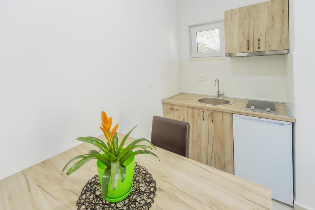 Grejm Lux Family Apartments Petrovac المظهر الخارجي الصورة